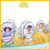 PESCARIA DA TURMA - Imagem 6
