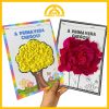 CARTAZ E ATIVIDADE PRIMAVERA - Imagem 3