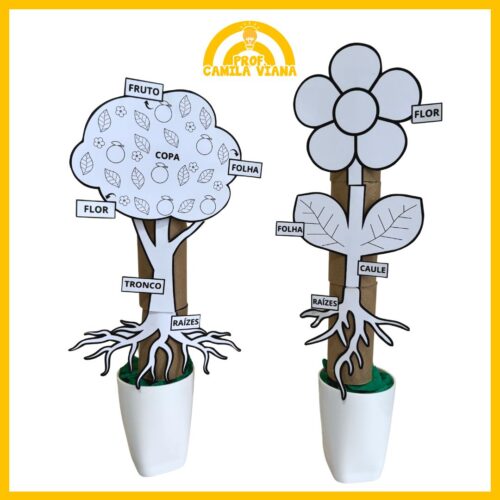 ATIVIDADE: MONTAGEM PARTES DA PLANTA - Imagem 3